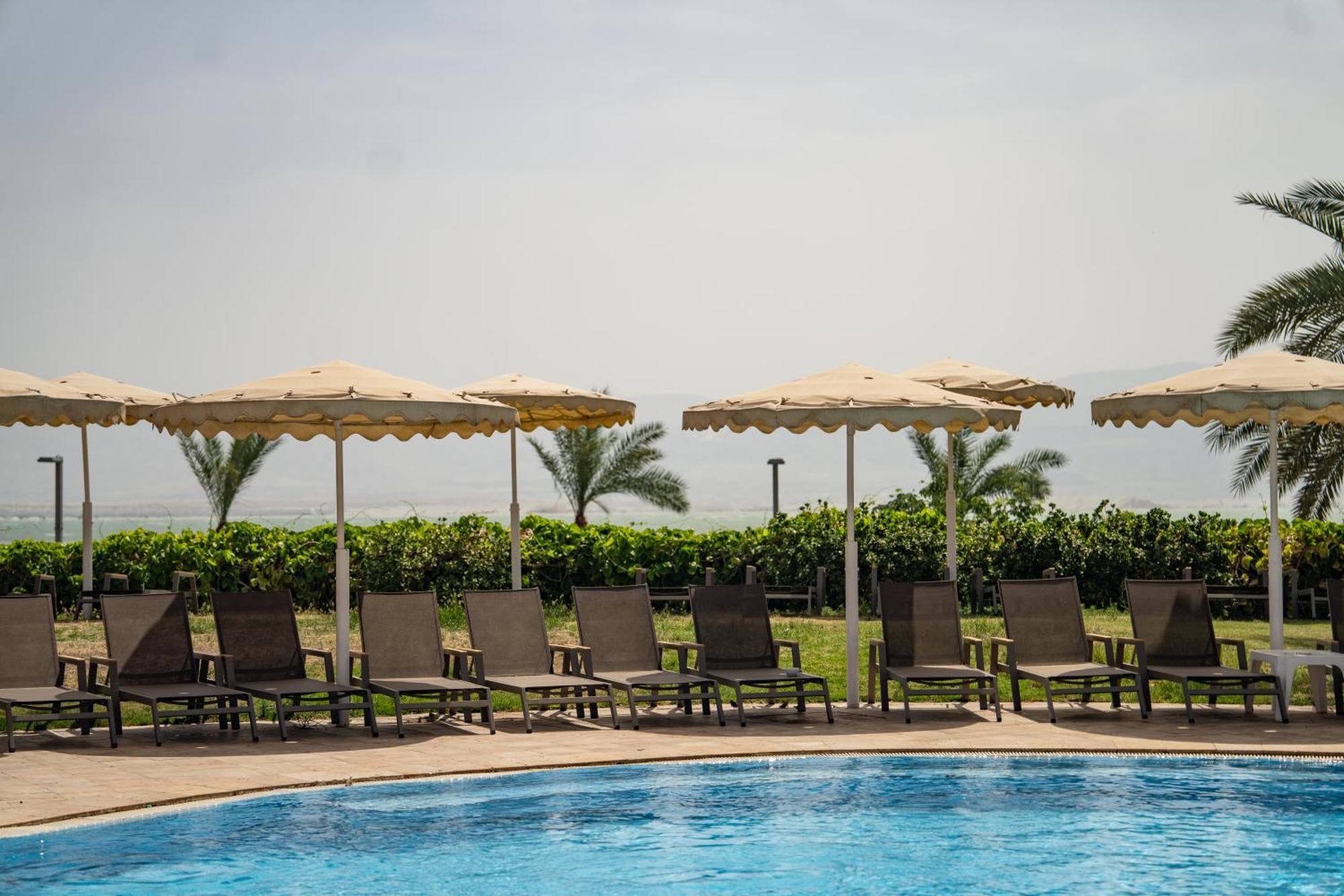 David Dead Sea Resort & Spa เอนโบเกก ภายนอก รูปภาพ The pool at the Dead Sea
